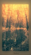 What is the fall .. / ********