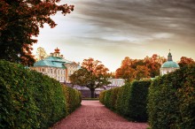 at sunset in the park / ***