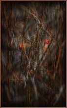 Chaos of thought / ***
