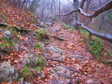 Mountain Trail / ***