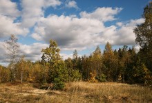 October day / _______________*
