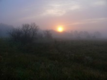 Rankovy fog (v 2.0). / ***