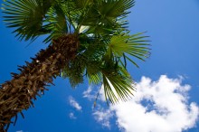 view from sunbeds / ***