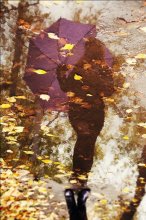 Reflection / .............