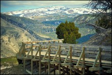 Yellowstone Park, USA / *****