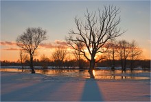 Evening shadows / ***