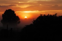 Evening / ***