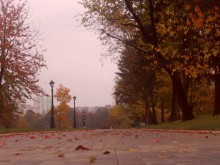 Autumn / ***