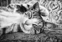 good night's sleep / .....