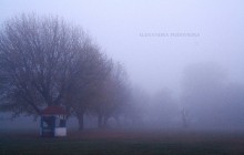 Fog in allen Sinnen. / ***