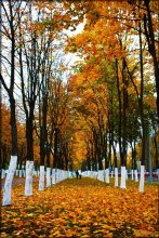 Autumn walk / .....