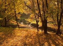 In the autumn ... / *****************