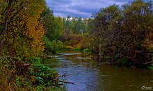 downstream / ***