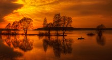 radiance / ***