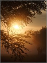 The passing day / ***