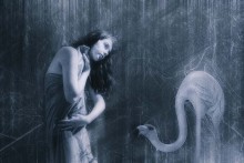 About a flamingo. / ***