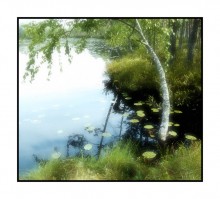 lakelet / *****