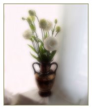 Eustoma in the window ... / .....