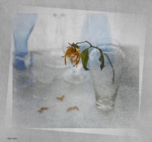 Last fall .... / ...................