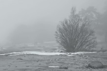 Progulka v tumane / ***