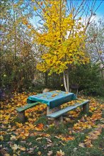 Today, "clearing" Autumn covers! / ,,,,,,,,,,,,,,,,
