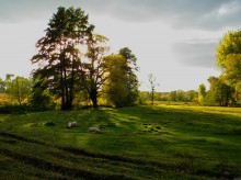 October evening in the meadow / ***