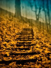 On the stairs / ********