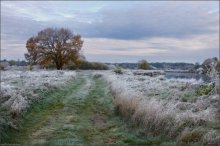 / On the first frost / / ***