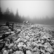 Winter Fall / ***
