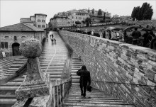 Dosvidanya Italy / ***
