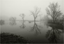 Reflections of the spill / ***