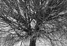 Ohne Titel / _________
