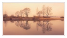 Spiegel / ***