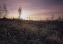 Frosty Morning / ***