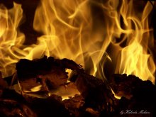 Fire / ***