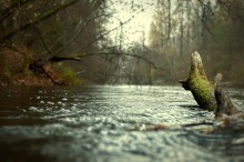 Autumn water / .............................