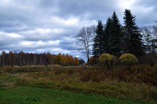 Autumn Aquarell / ***