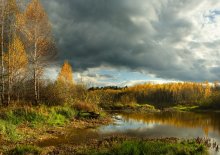 Kontraste im Herbst / ***