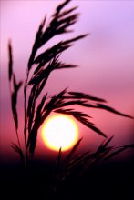 Before nightfall / ..........