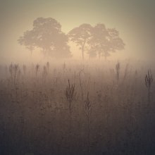 Beginning / ********
