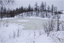 Beginning of winter / ***