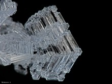 Frost / *******