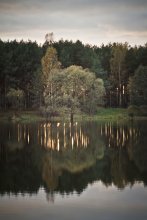 Mirror / ***