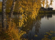 Fall grief / ***