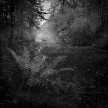 Autumn / ***