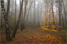 Oktober / ***
