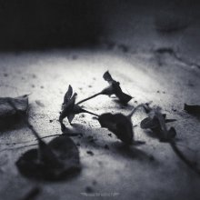 Tenderness / ***