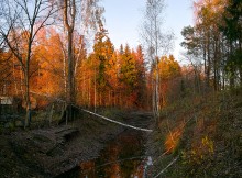 October evening / ___________________________*