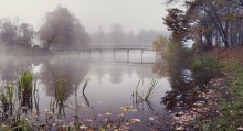 Autumn / ***