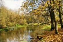 Autumn in a general park / ***